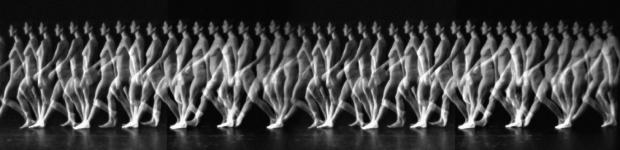 el cuerpo en movimiento